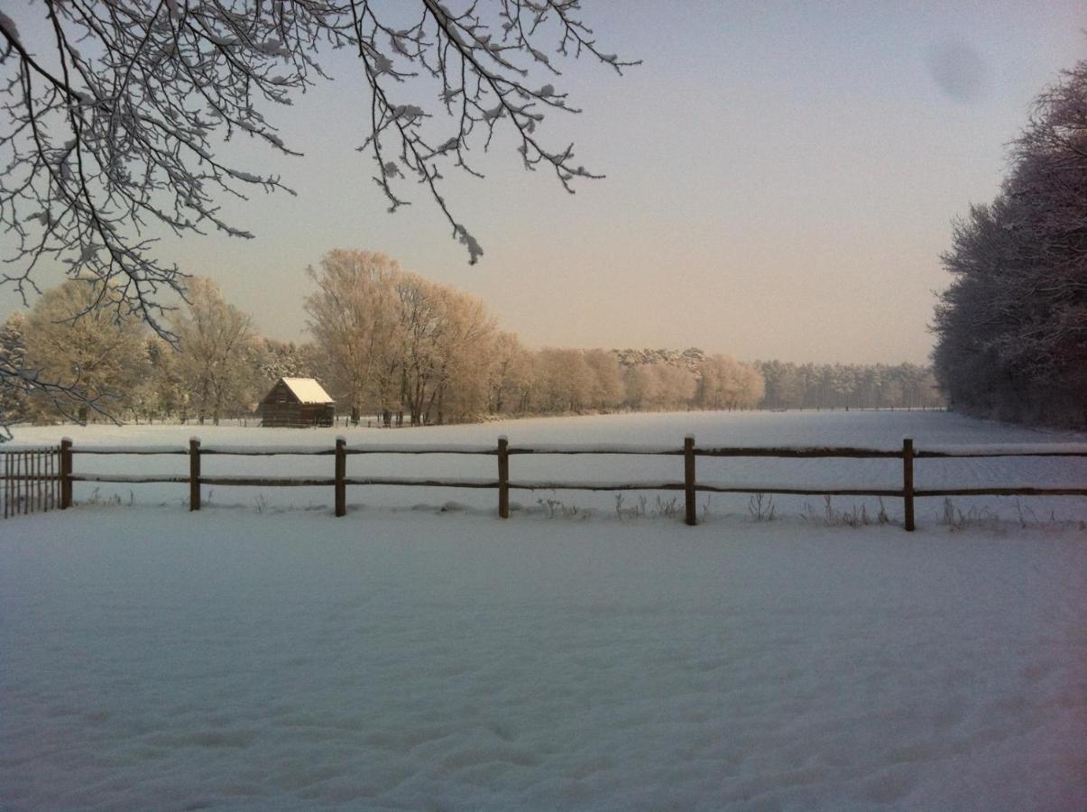 B&B De Paenhoeve Eksel Buitenkant foto
